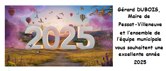 voeux 2025 image panneau pocket et mail
